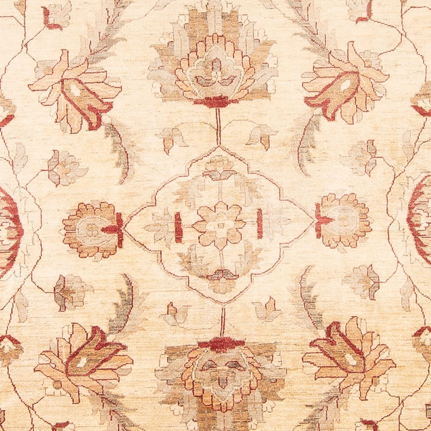 Alfombra Ziegler - 455 x 308 cm - crema