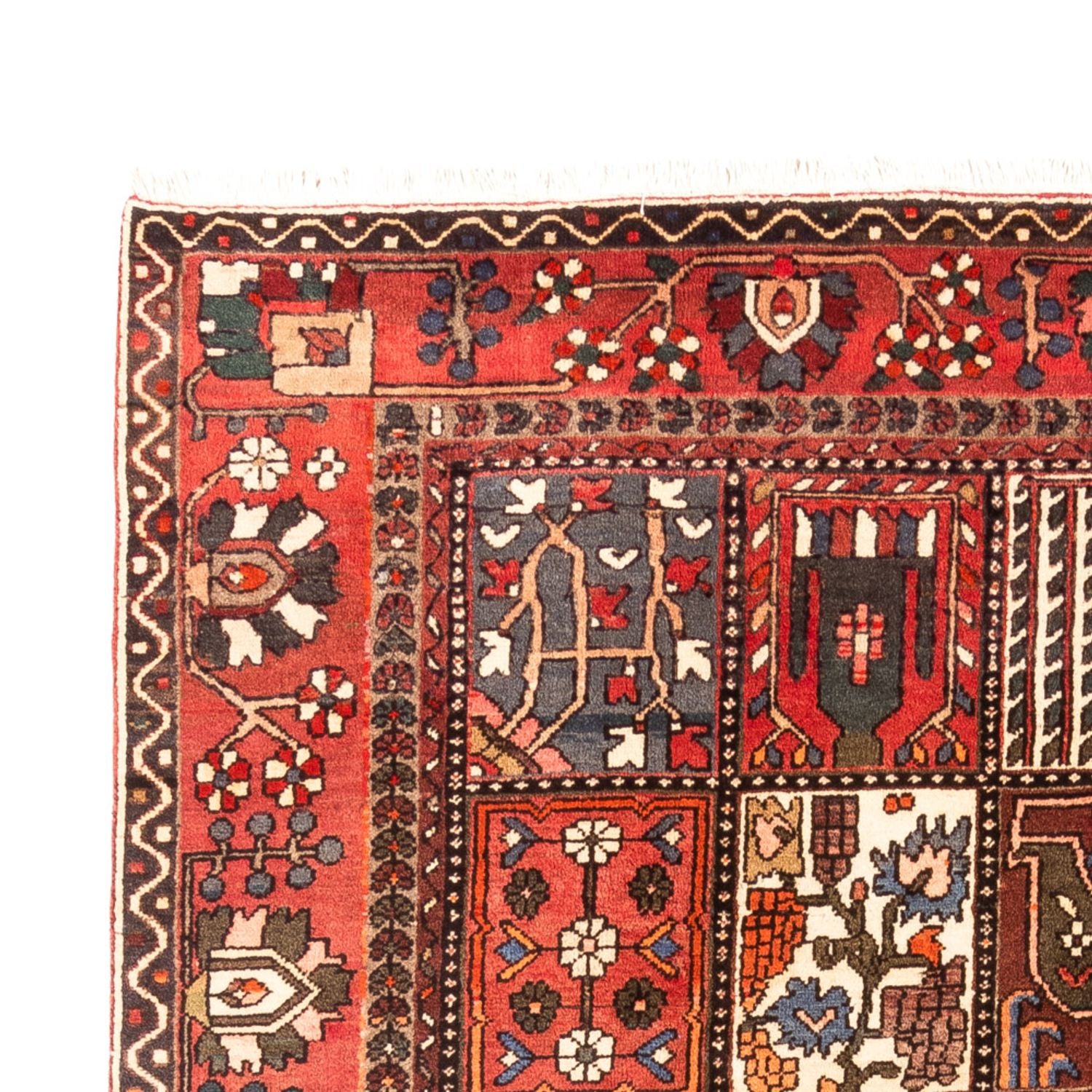 Alfombra persa - Nómada - 314 x 207 cm - multicolor
