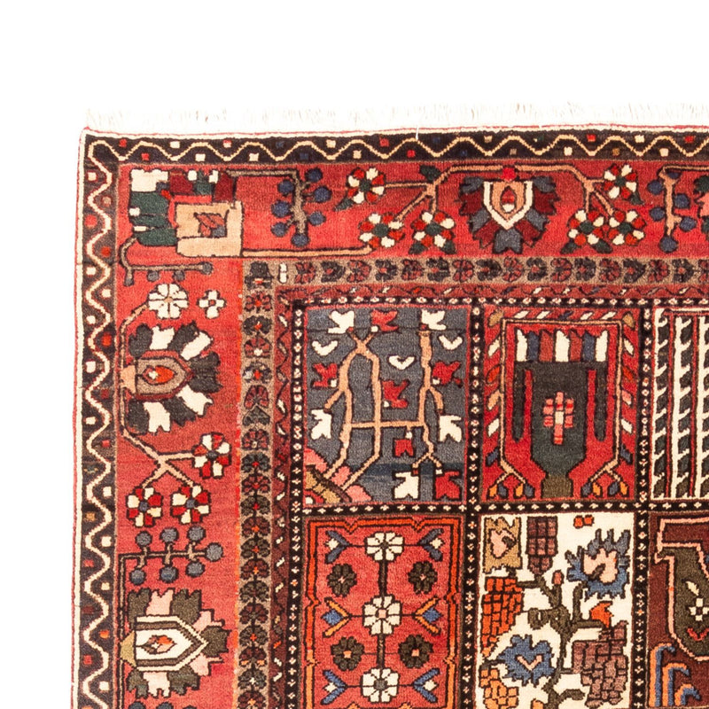 Alfombra persa - Nómada - 314 x 207 cm - multicolor