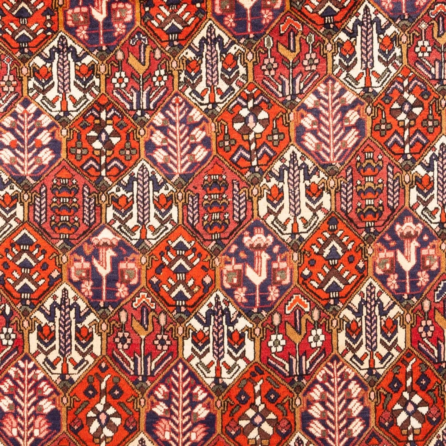 Alfombra persa - Nómada - 310 x 210 cm - rojo