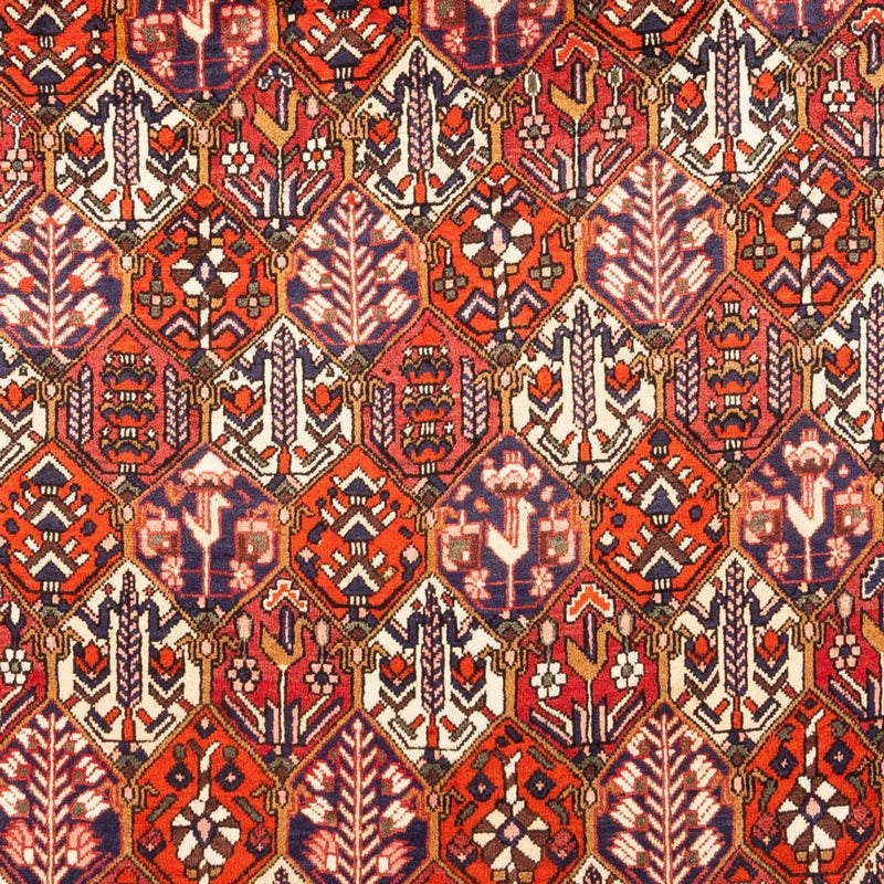Alfombra persa - Nómada - 310 x 210 cm - rojo