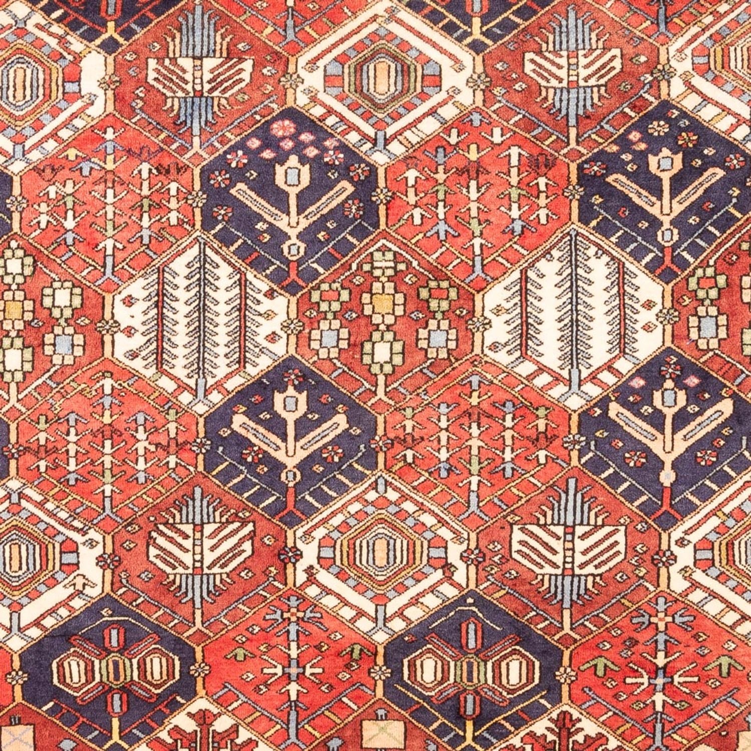Alfombra Gabbeh - Persa - 325 x 218 cm - multicolor