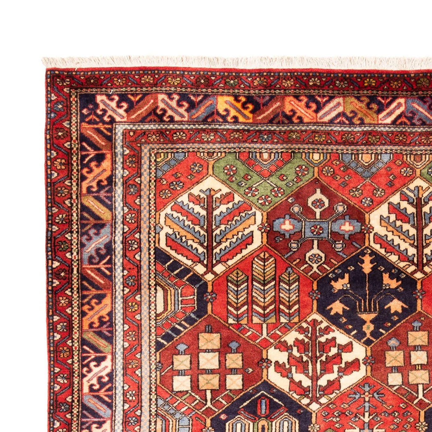 Gabbeh persa Alfombra 325x218cm - Perserteppich Wollteppich
