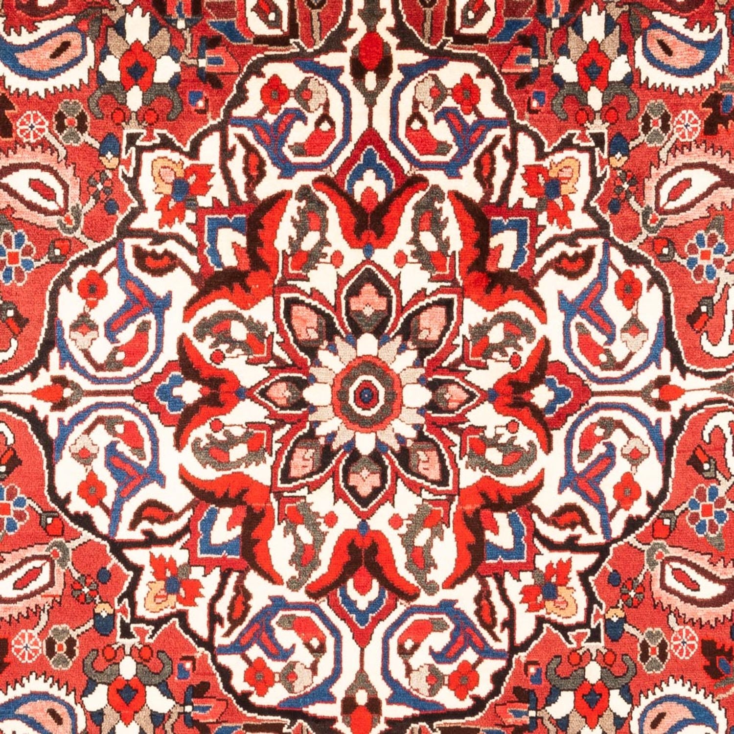 Alfombra persa - Nómada - 315 x 207 cm - rojo