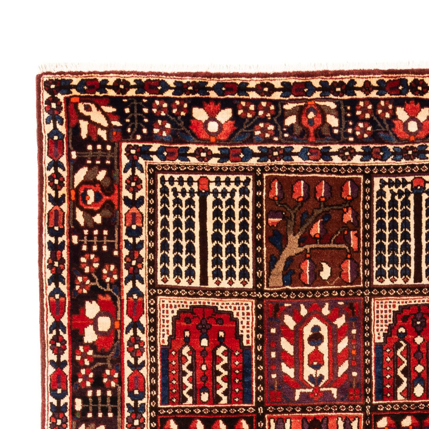 Bakhtiari Alfombra 317x210cm - Alfombra persa