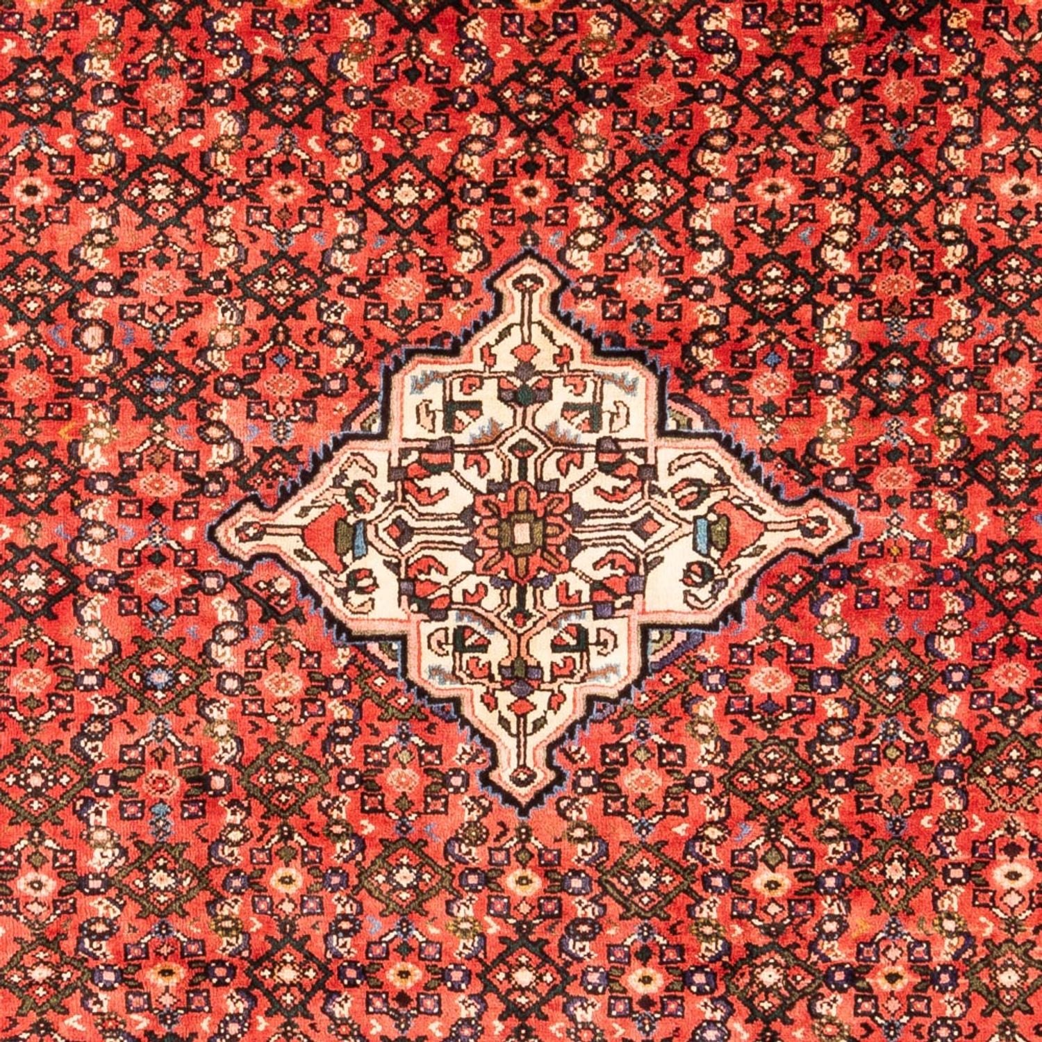 Alfombra persa - Nómada - Real - 285 x 204 cm - multicolor