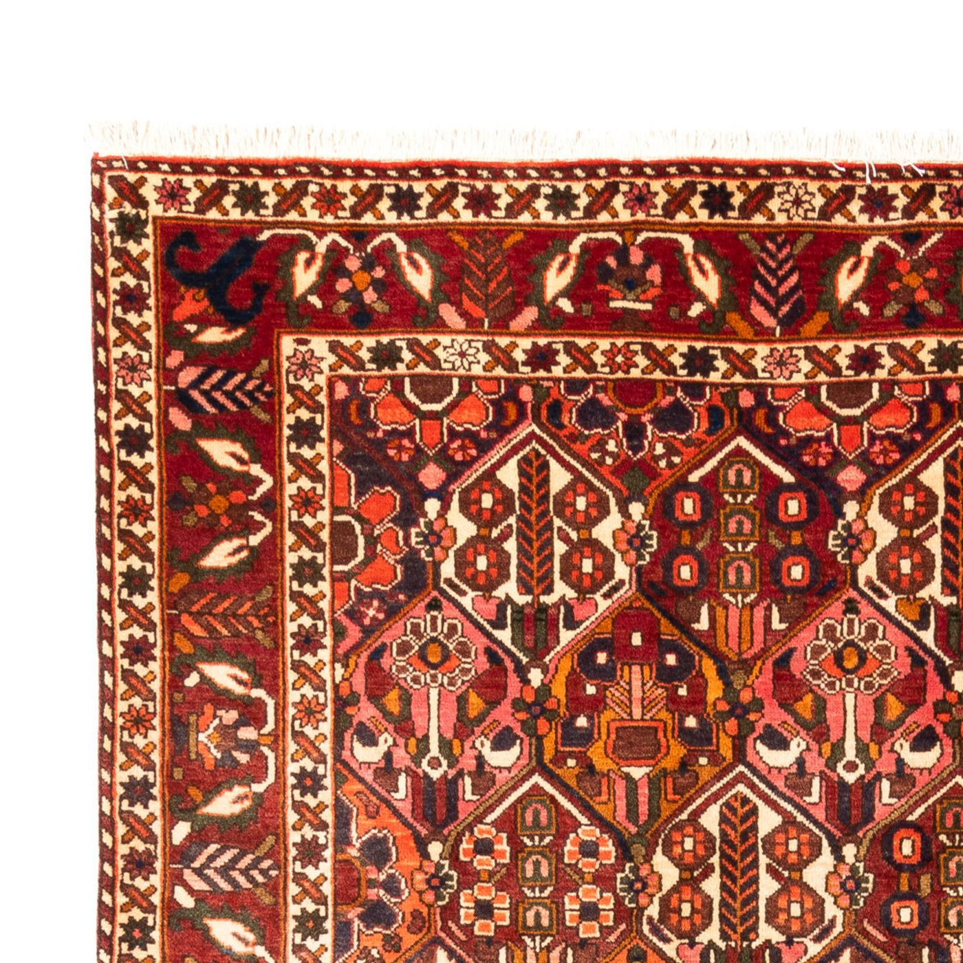 Bakhtiari Alfombra 308x210cm - Alfombra persa