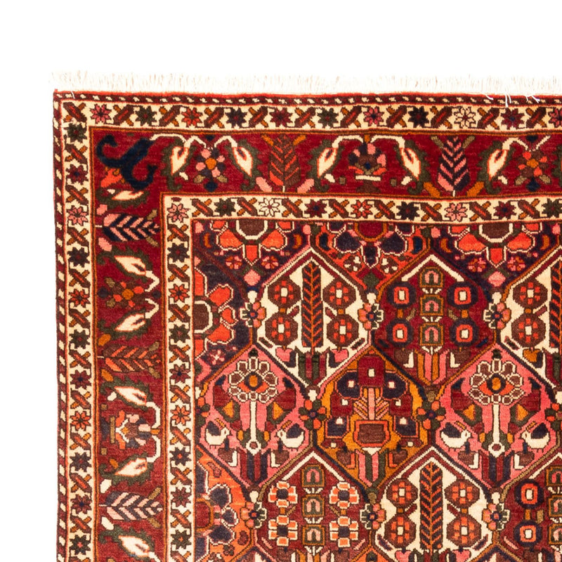 Alfombra persa - Nómada - 308 x 210 cm - multicolor