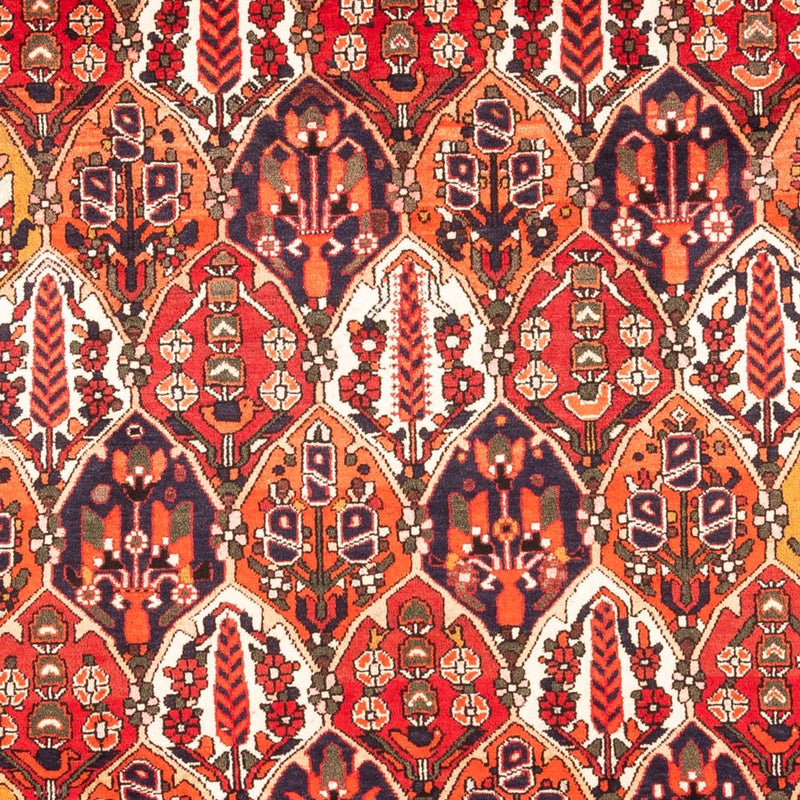 Alfombra persa - Nómada - 300 x 220 cm - multicolor