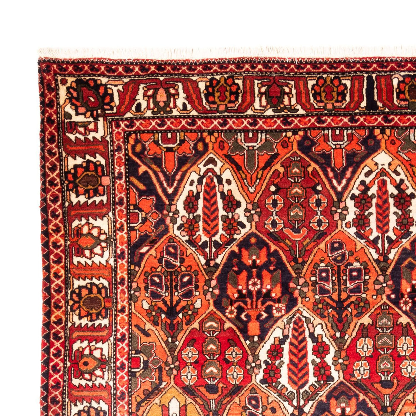 Alfombra persa - Nómada - 300 x 220 cm - multicolor