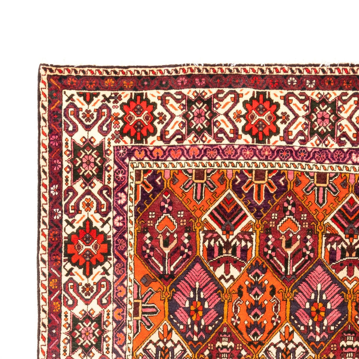 Bakhtiari Alfombra 203x310cm - Alfombra persa