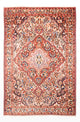 Bakhtiari Alfombra 312x214cm - Alfombra persa