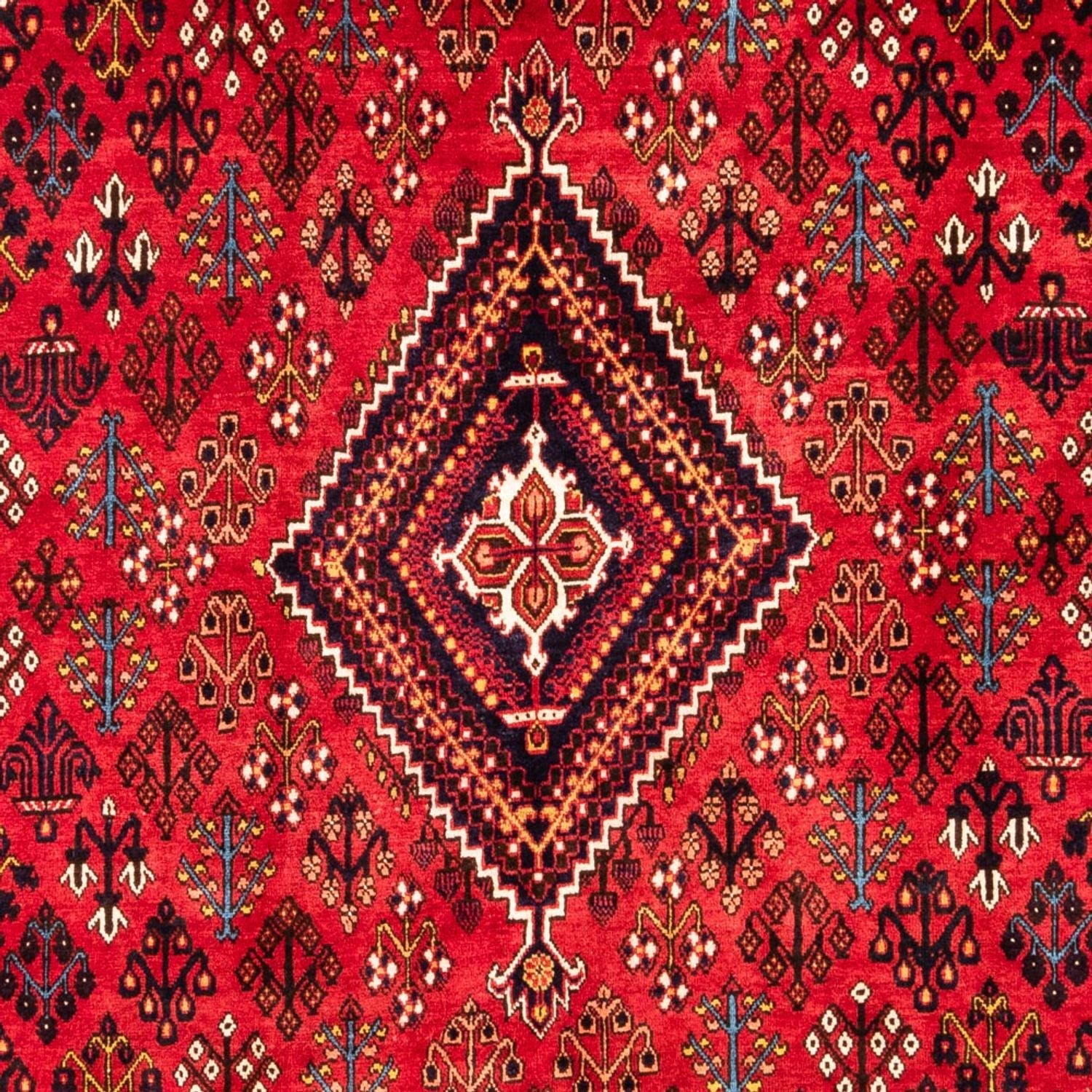 Alfombra persa - Nómada - 304 x 219 cm - rojo