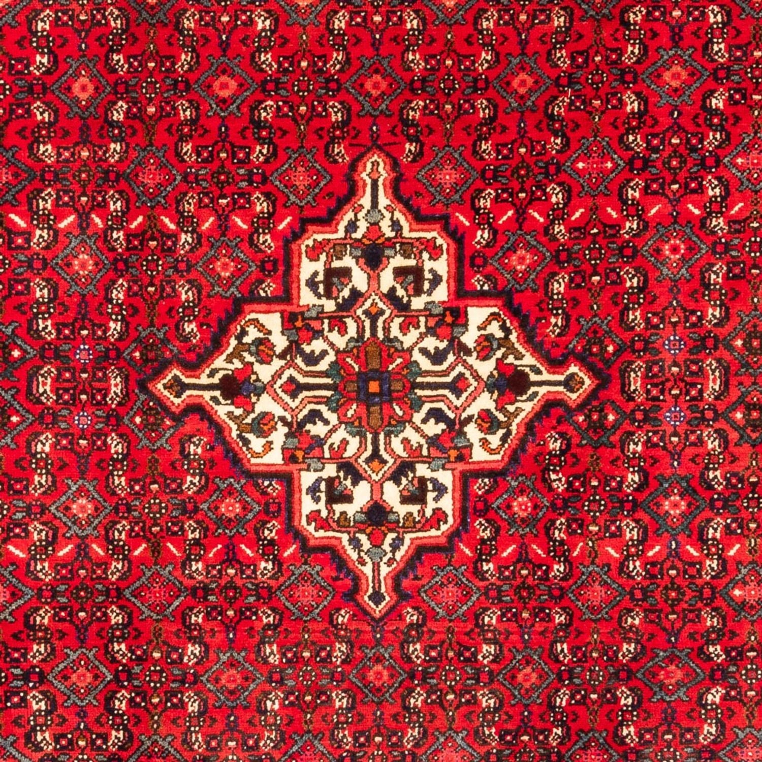 Alfombra persa - Nómada - 304 x 212 cm - rojo