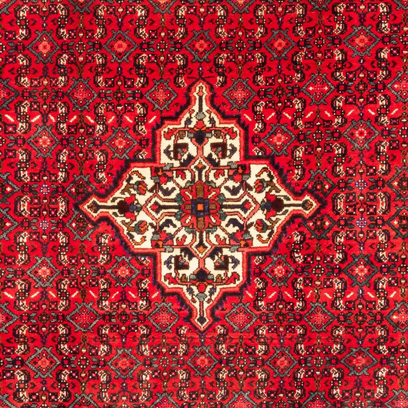 Alfombra persa - Nómada - 304 x 212 cm - rojo