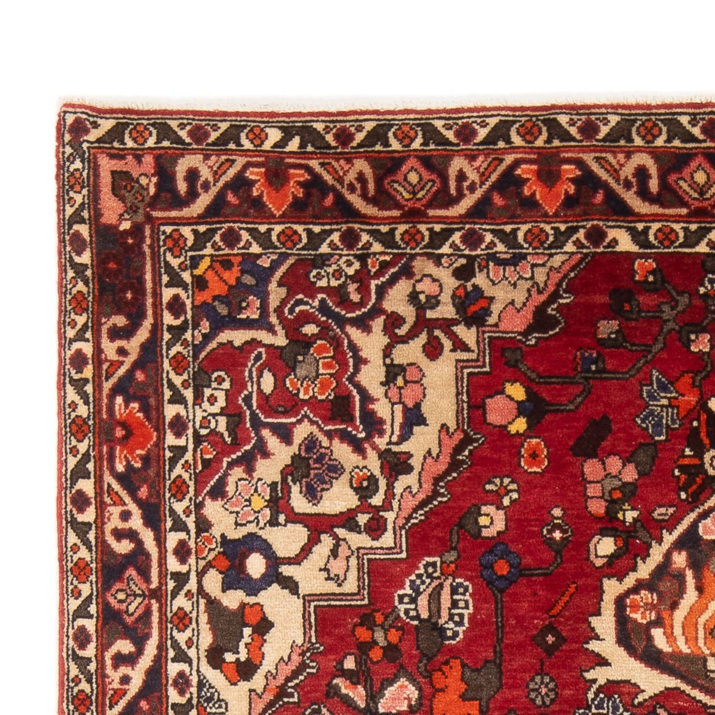 Bakhtiari Alfombra 208x137cm - Alfombra persa