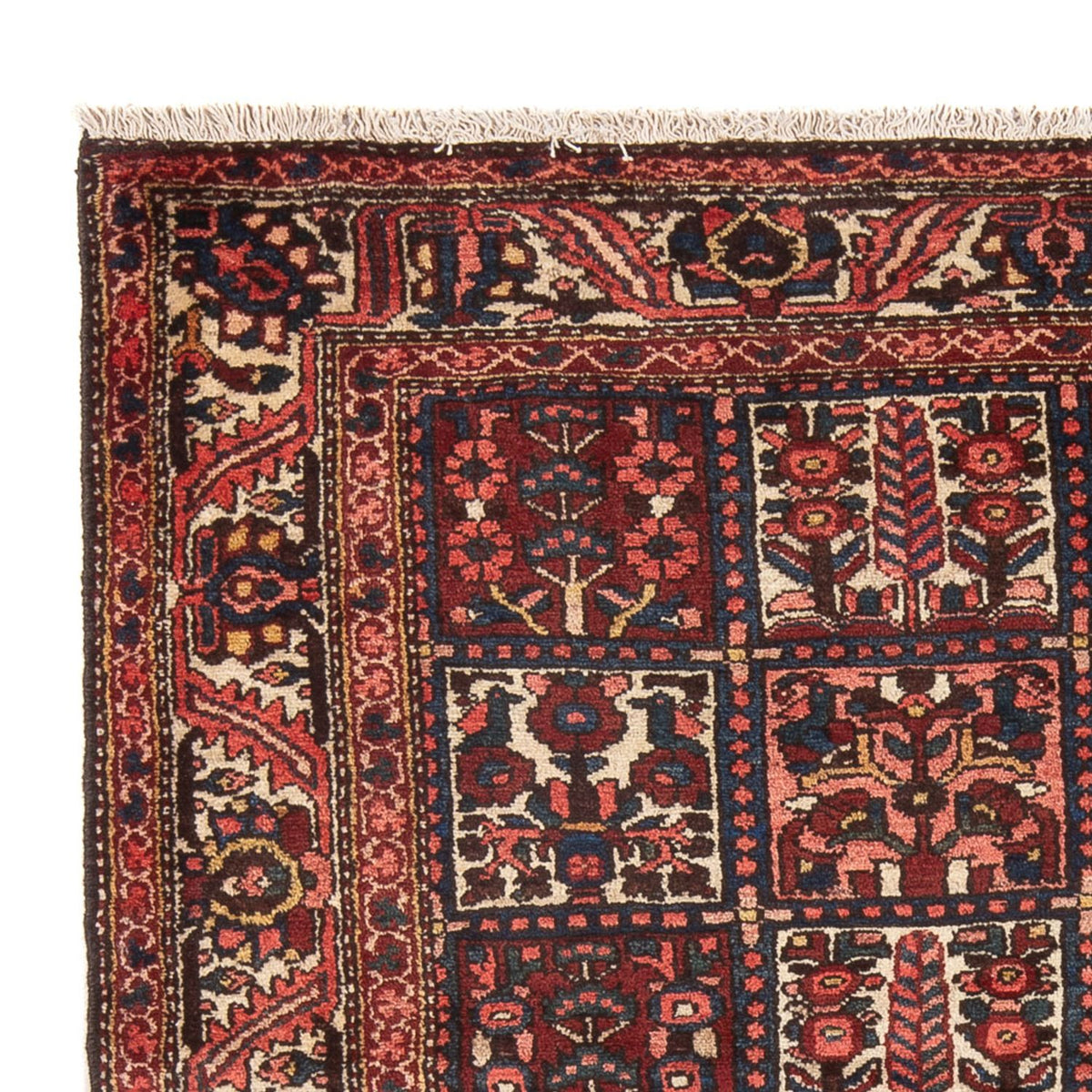 Bakhtiari Alfombra 157x202cm - Alfombra persa