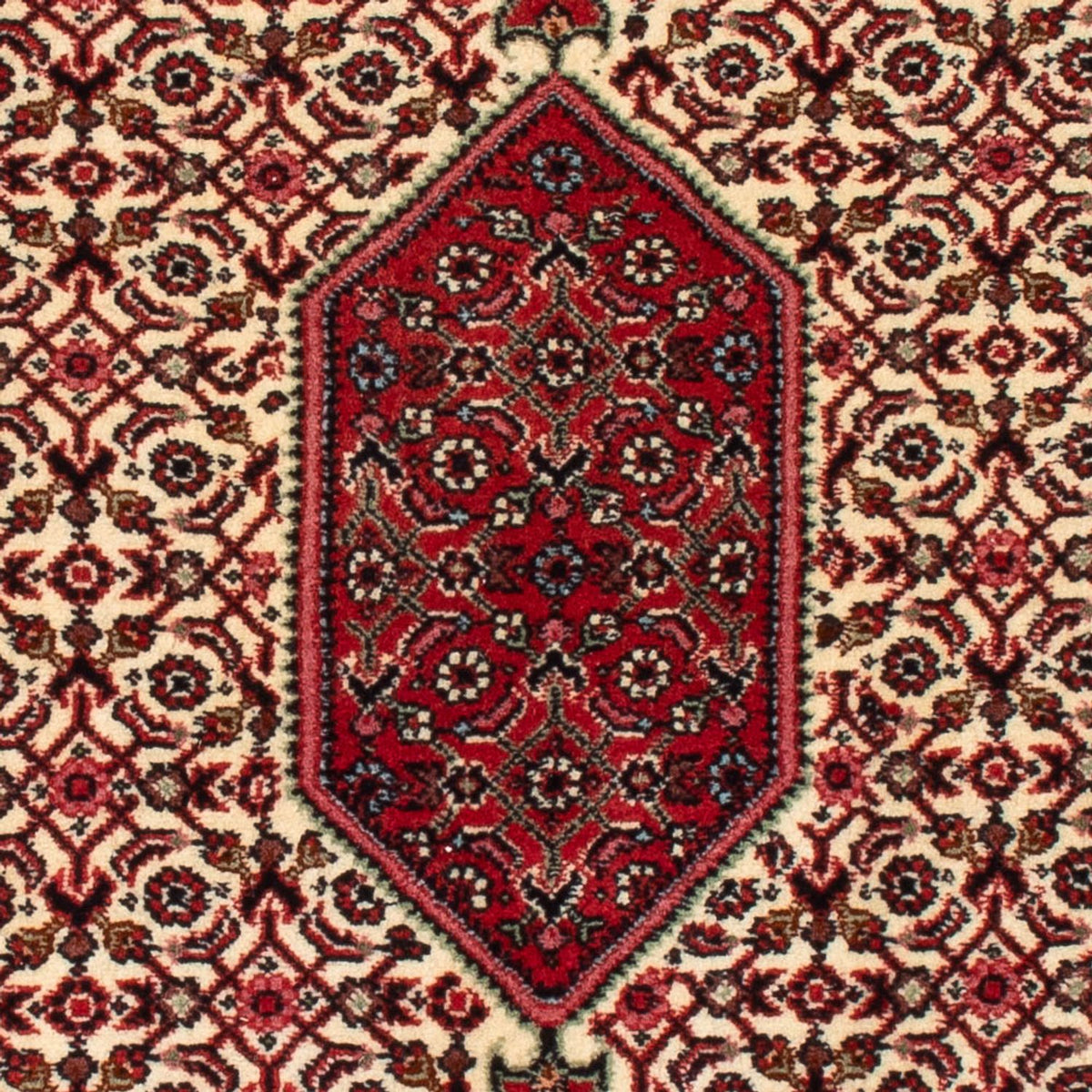Alfombra persa - Bidjar - 90 x 77 cm - crema