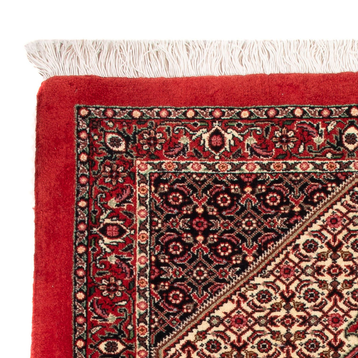 Alfombra persa - Bidjar - 90 x 77 cm - crema