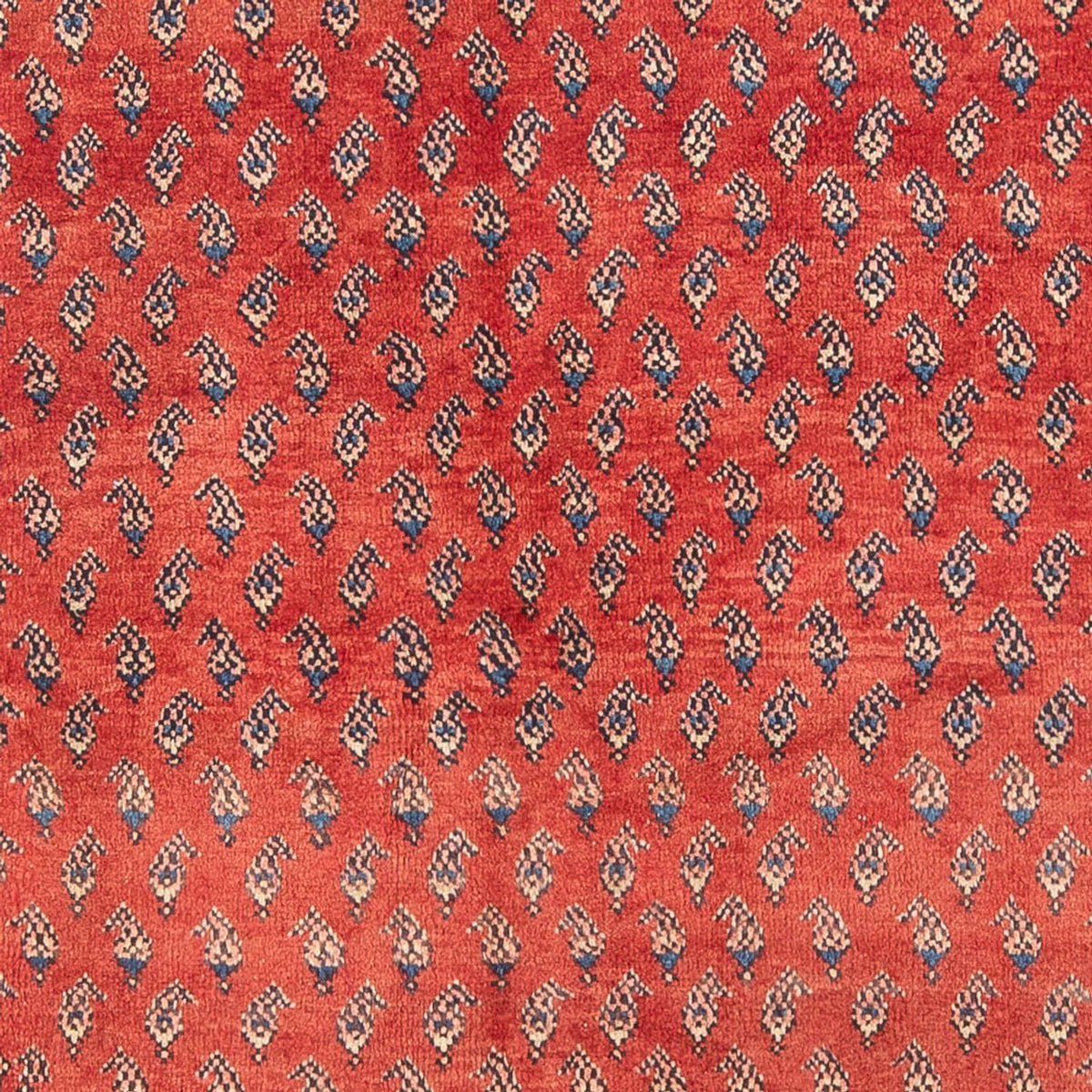 Alfombra persa - Nómada - Real - 211 x 134 cm - rojo