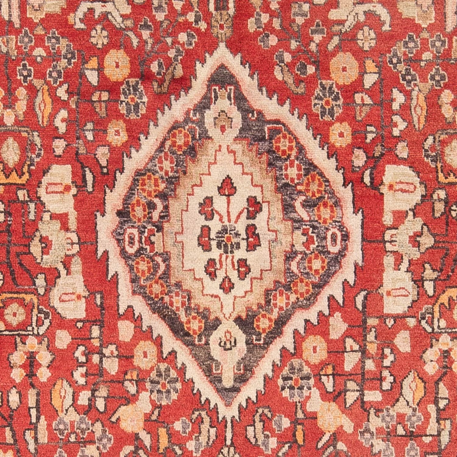 Alfombra de pasillo Alfombra persa - Nómada - 310 x 137 cm - rojo