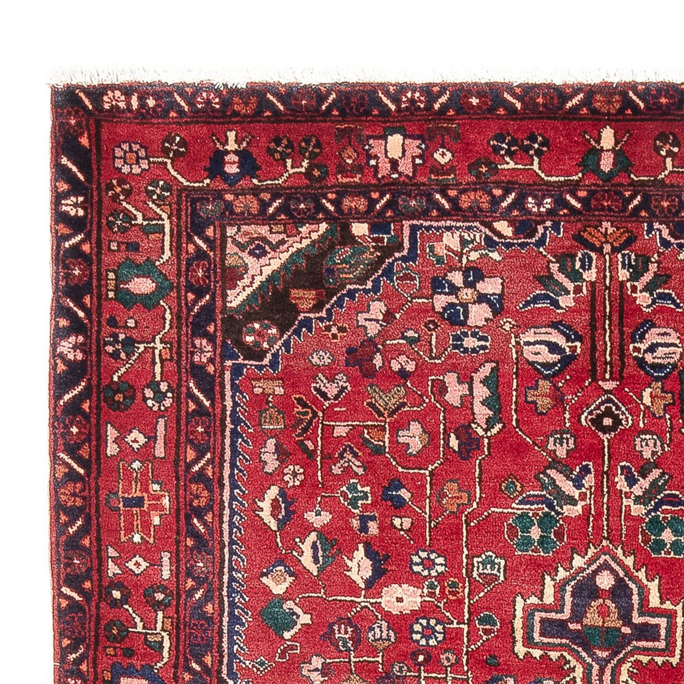 Kolyai Alfombra 237x152cm - Alfombra persa