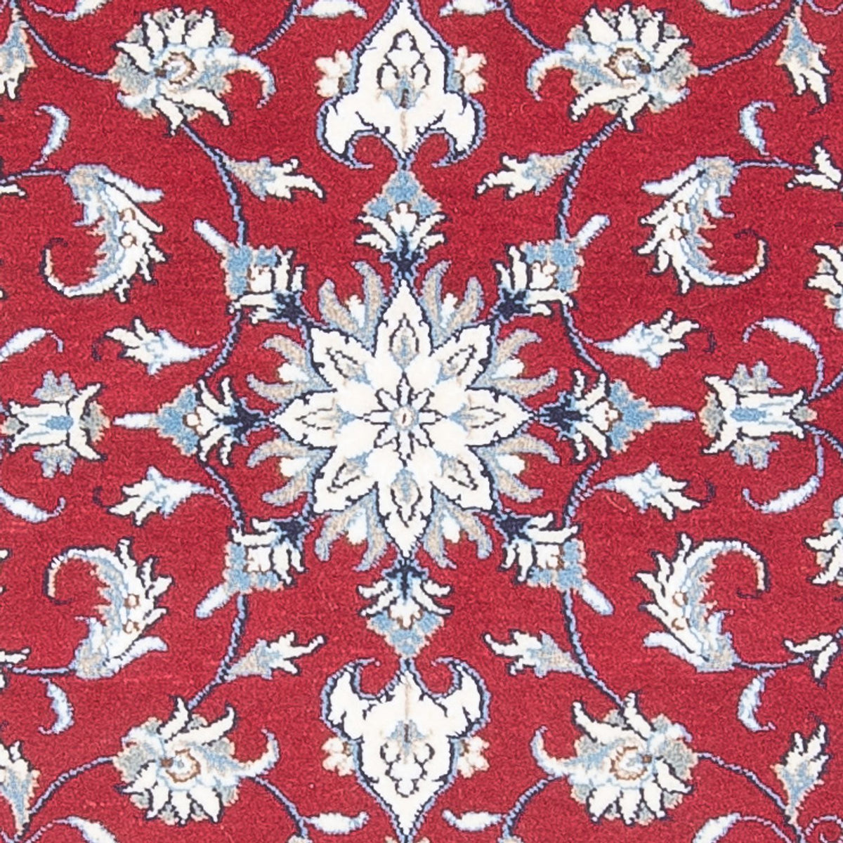 Alfombra de pasillo Alfombra persa - Nain - 290 x 82 cm - rojo