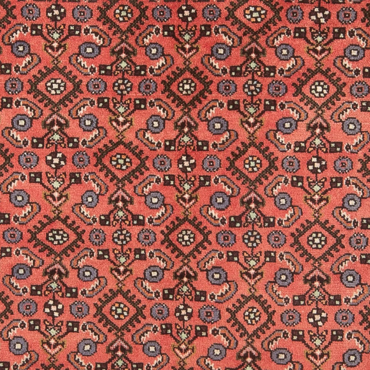 Alfombra persa - Nómada - 196 x 144 cm - rojo