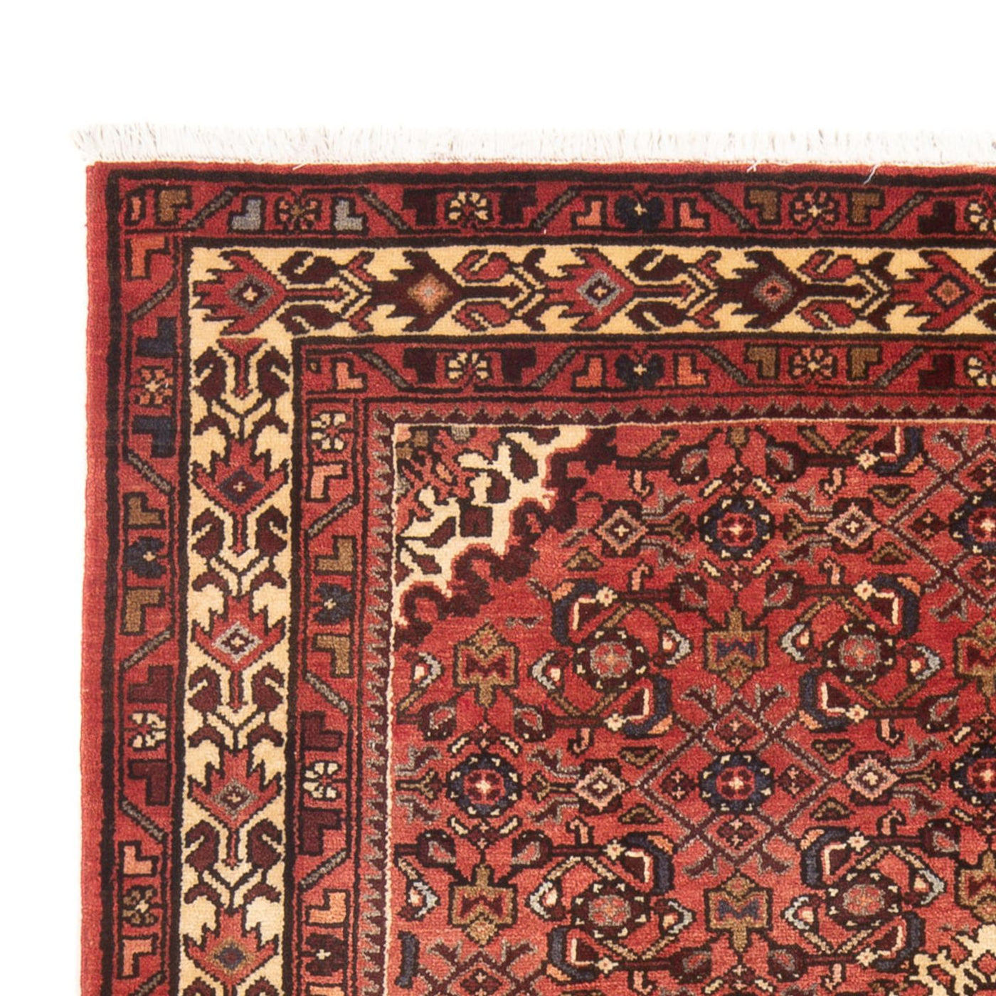 Hamadan Alfombra 218x147cm - Alfombra persa