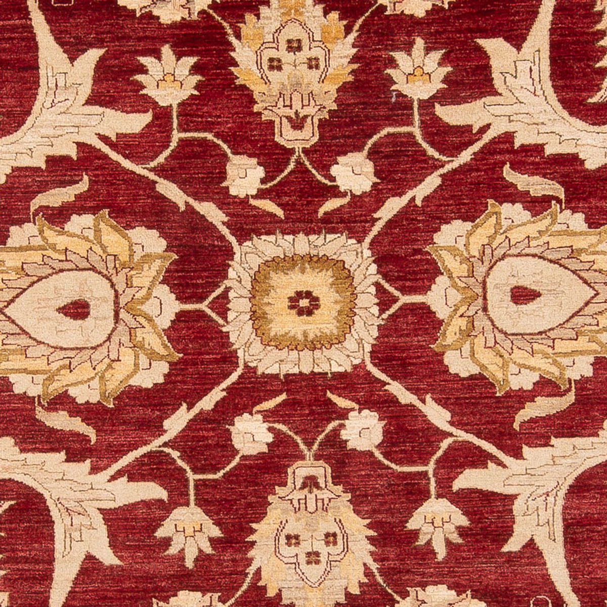 Alfombra Ziegler - 371 x 298 cm - rojo