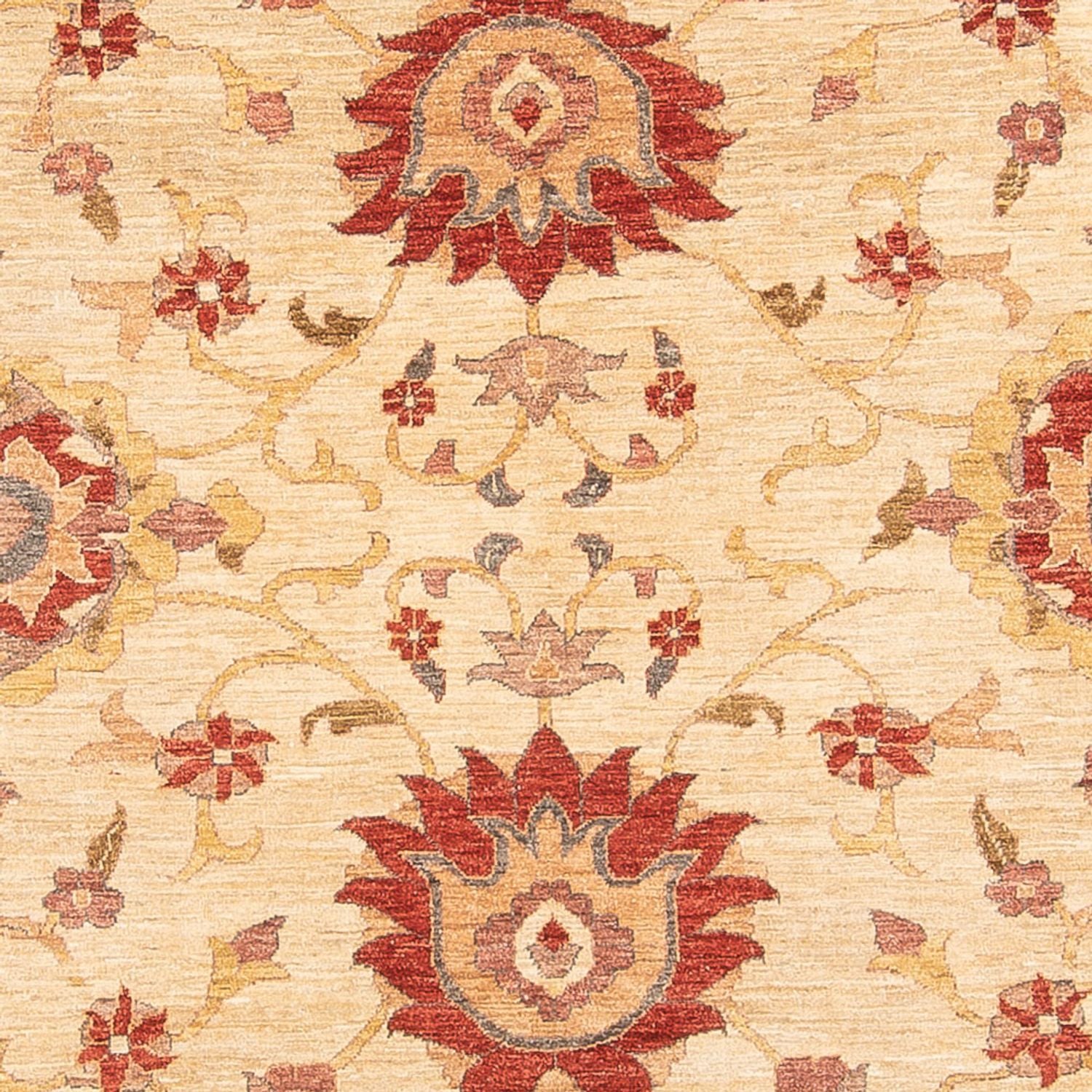 Alfombra Ziegler - 347 x 282 cm - beige