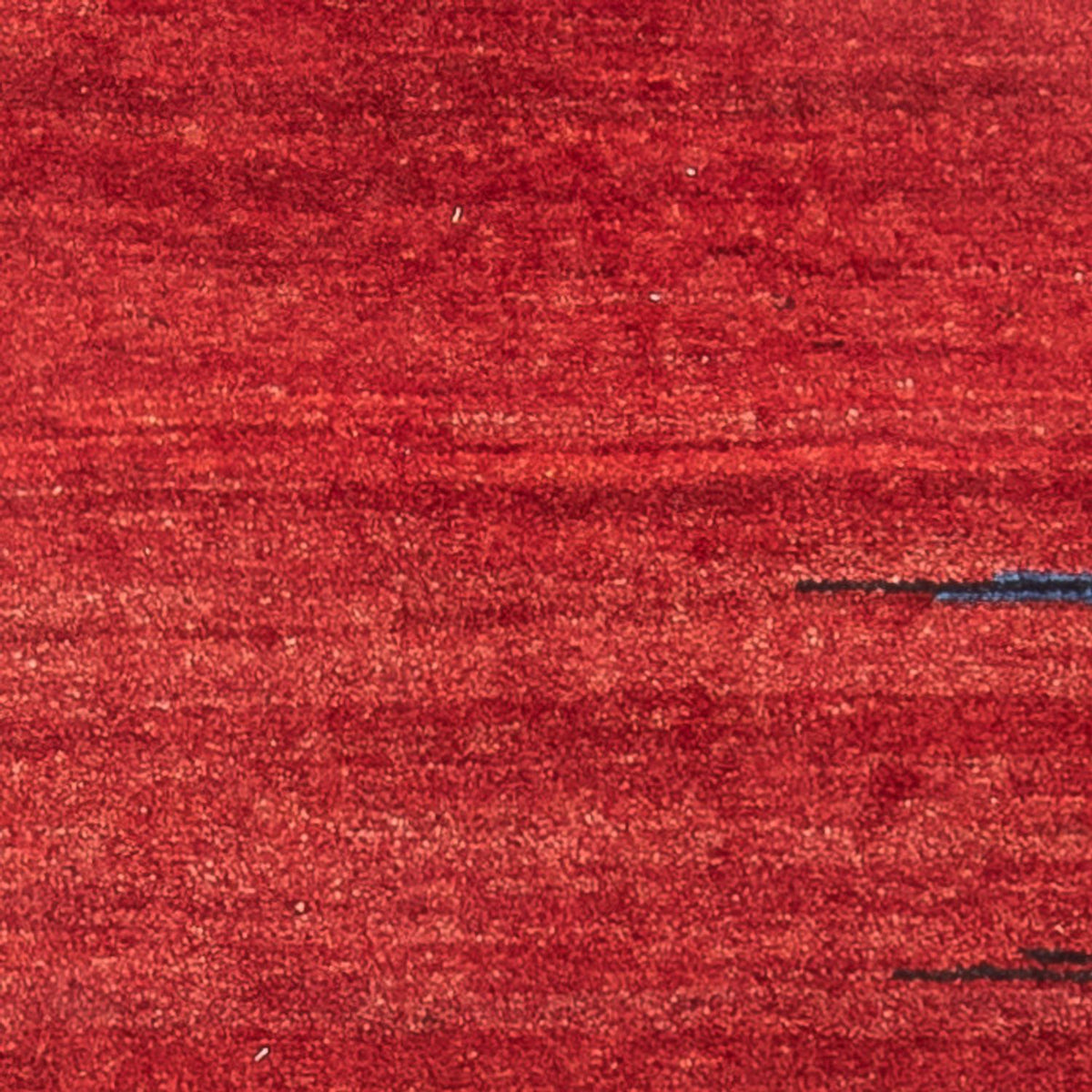 Alfombra de pasillo Alfombra Gabbeh - Persa - 220 x 70 cm - multicolor