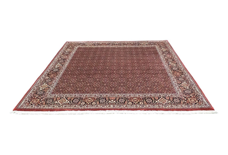 Alfombra persa - Bidjar cuadrado  - 210 x 210 cm - rojo