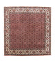 Alfombra persa - Bidjar cuadrado  - 210 x 203 cm - rojo