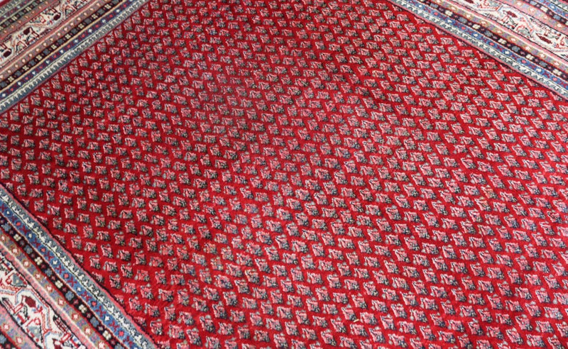 Alfombra persa - Clásica - 317 x 220 cm - rojo