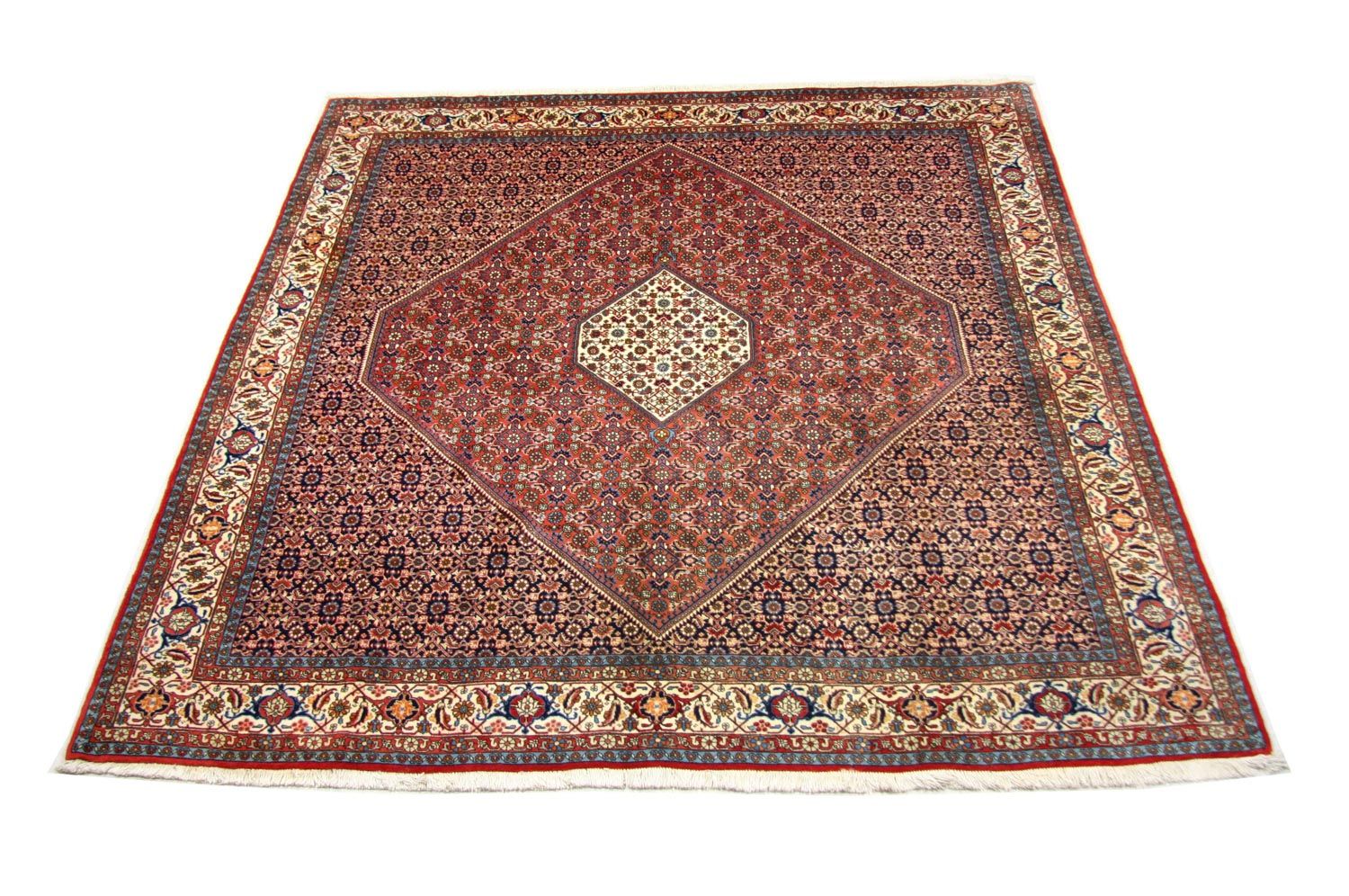 Alfombra persa - Bidjar cuadrado  - 260 x 247 cm - marrón