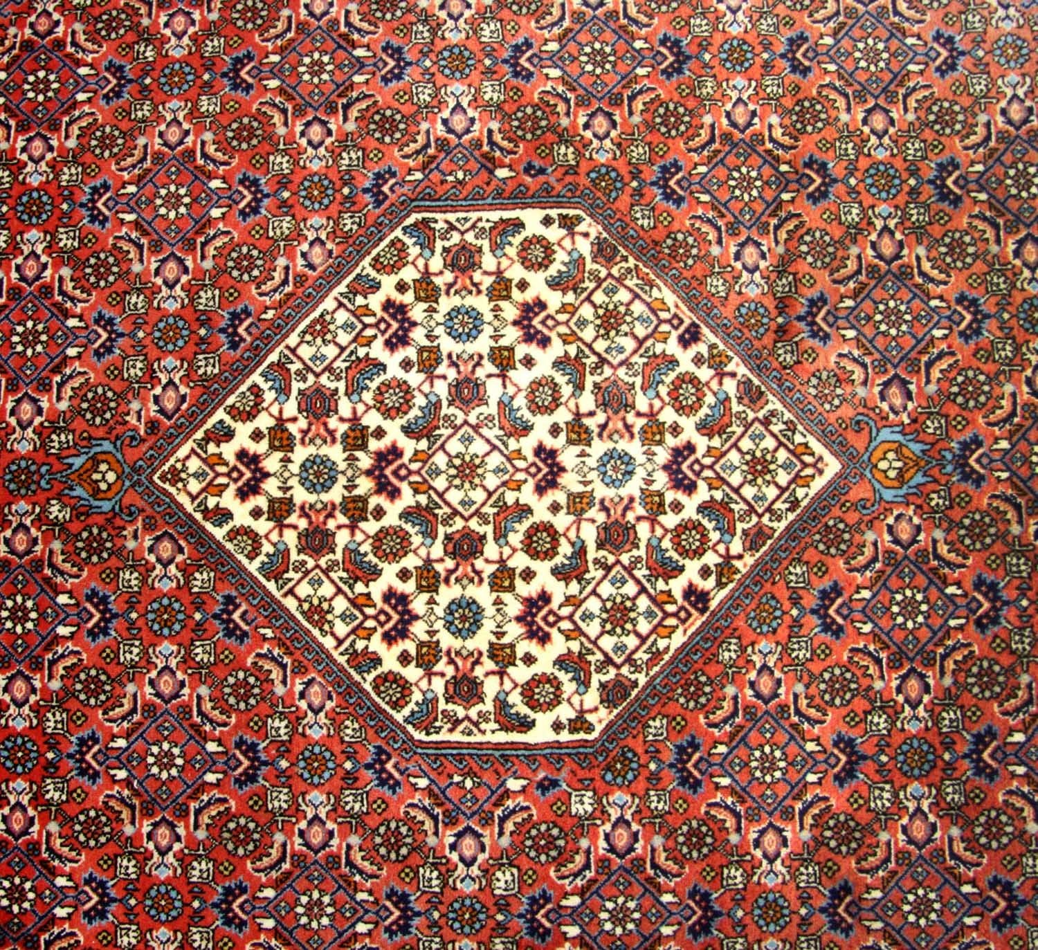 Alfombra persa - Bidjar cuadrado  - 260 x 247 cm - marrón