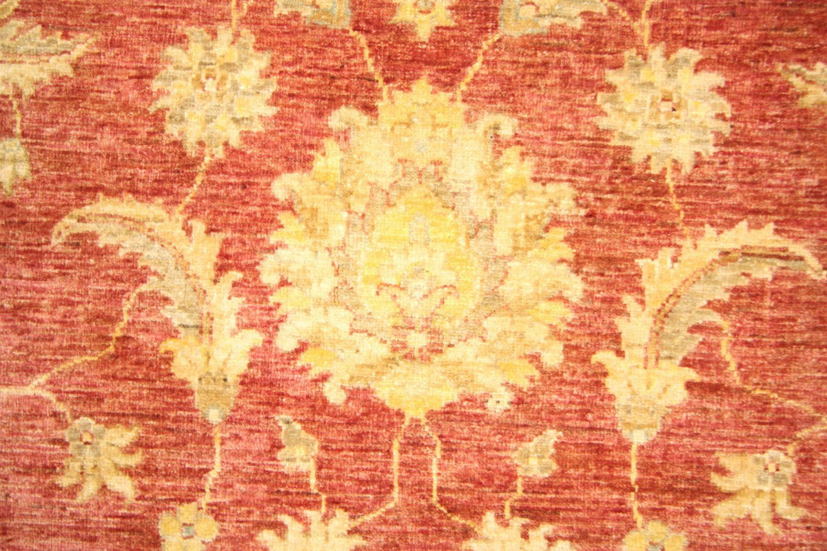 Alfombra Ziegler - 239 x 164 cm - oro