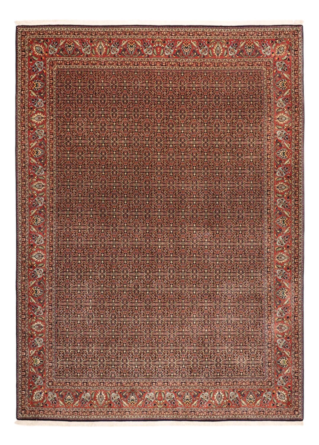 Alfombra persa - Bidjar - Real - 342 x 252 cm - terracota
