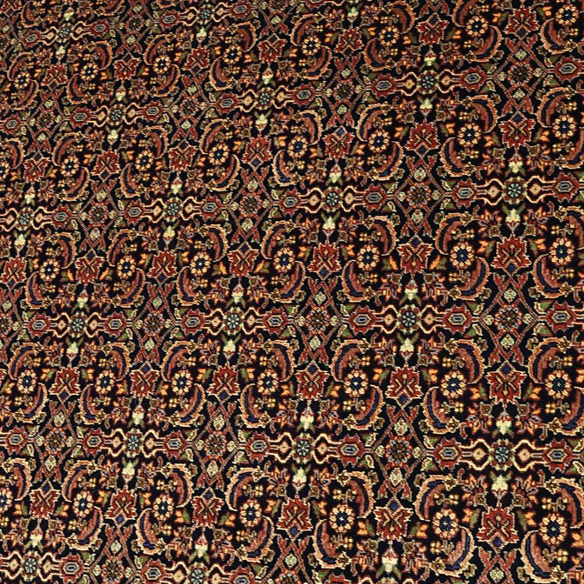 Alfombra persa - Bidjar - Real - 342 x 252 cm - terracota