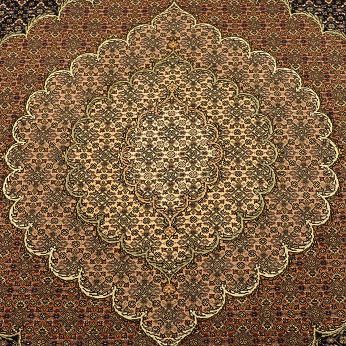 Alfombra Persa - Tabriz - Real - Real - 354 x 248 cm - marrón oscuro
