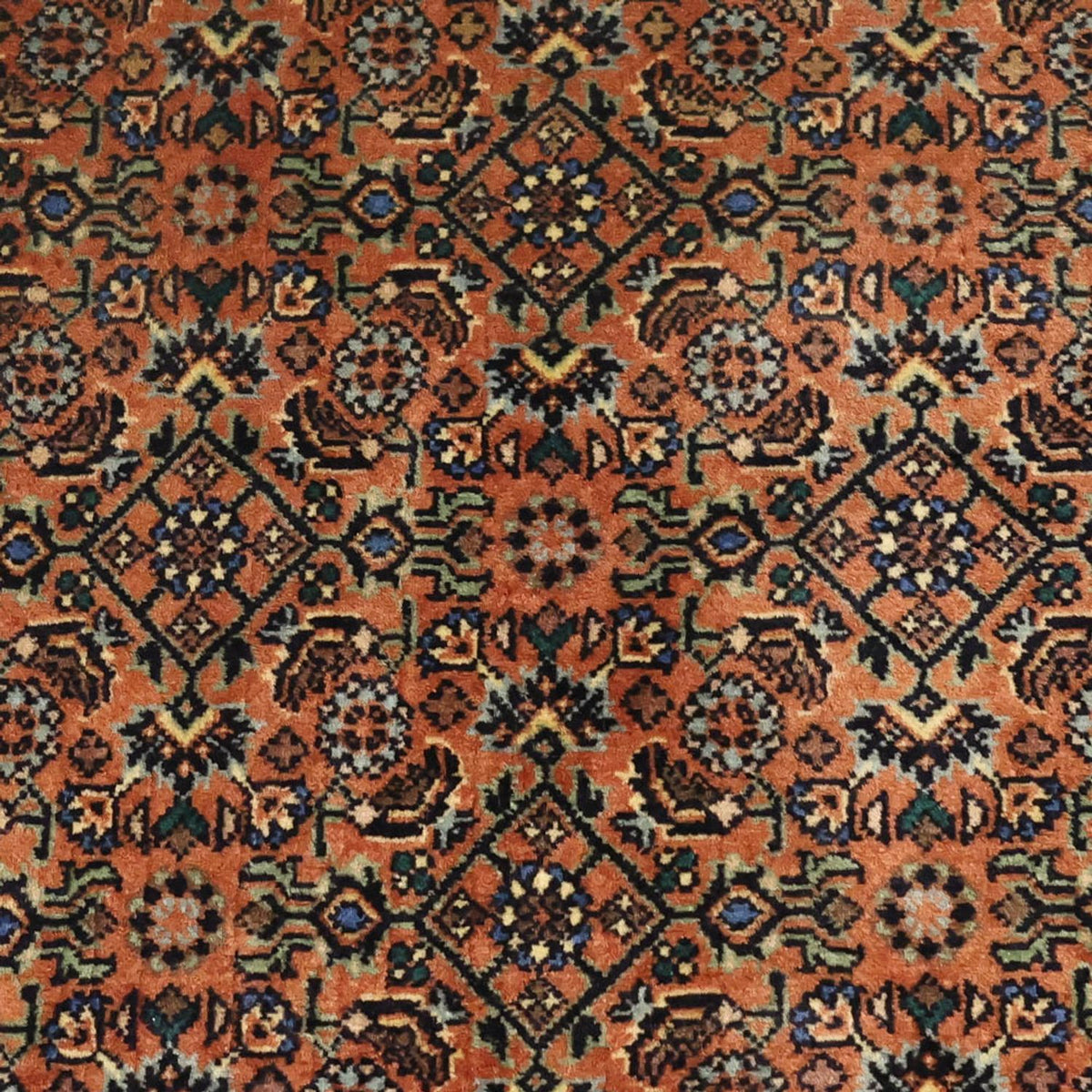 Alfombra persa - Bidjar - 144 x 71 cm - beige oscuro