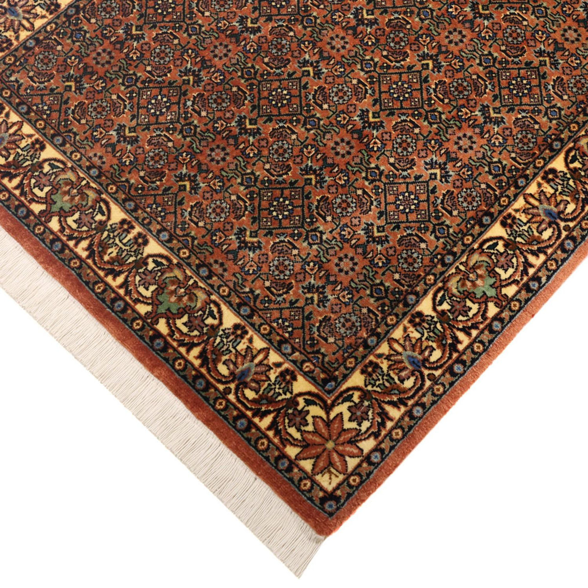 Alfombra persa - Bidjar - 144 x 71 cm - beige oscuro