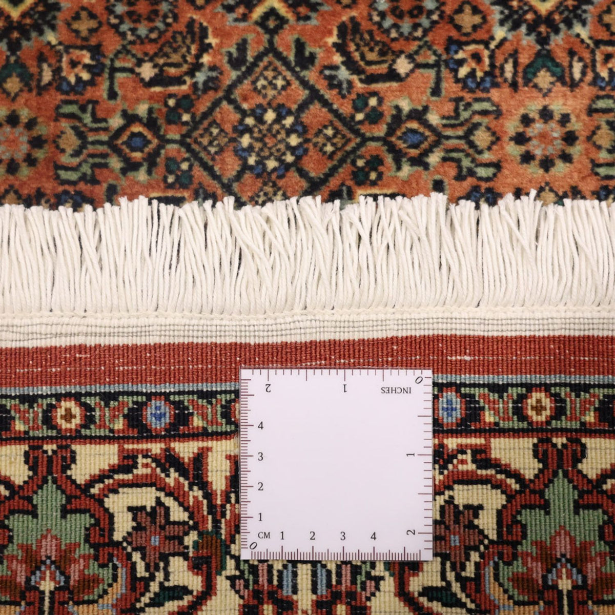 Alfombra persa - Bidjar - 144 x 71 cm - beige oscuro