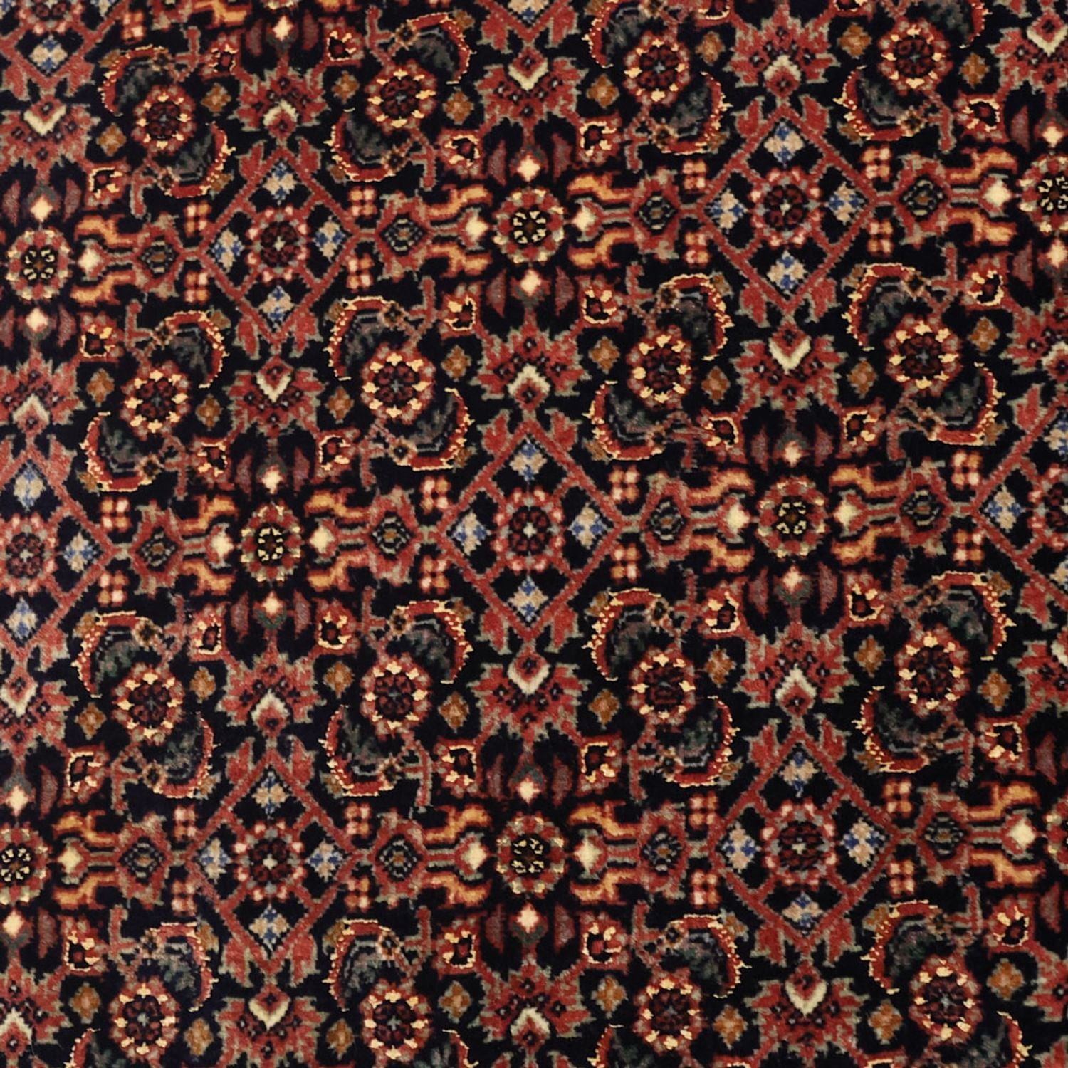 Alfombra persa - Bidjar - 152 x 88 cm - beige oscuro