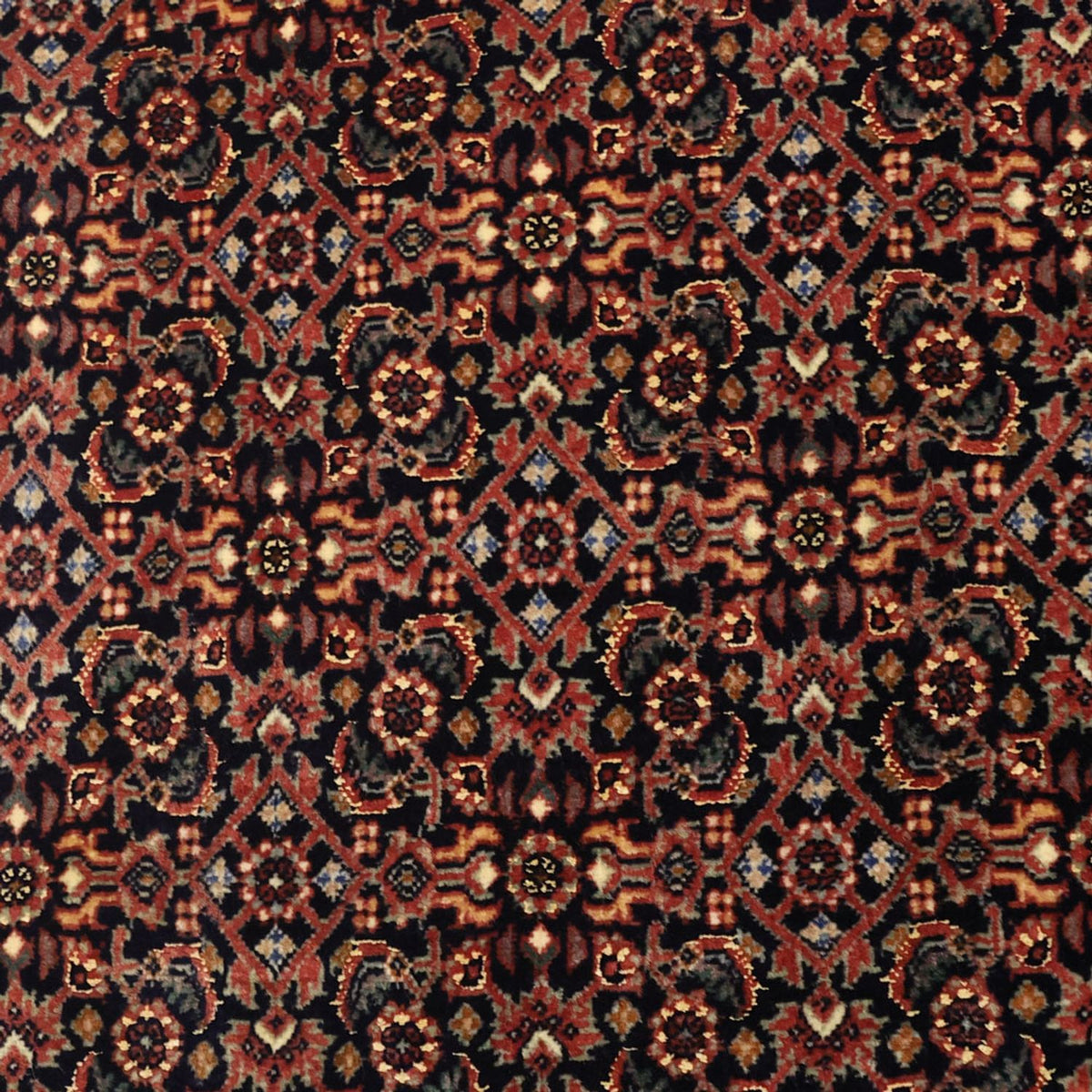 Alfombra persa - Bidjar - 152 x 88 cm - beige oscuro