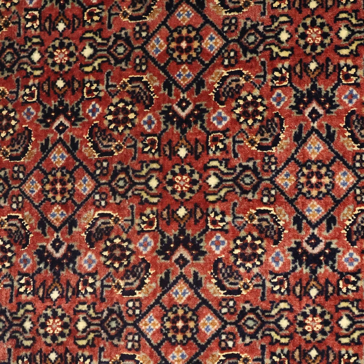 Alfombra persa - Bidjar - 142 x 72 cm - beige oscuro