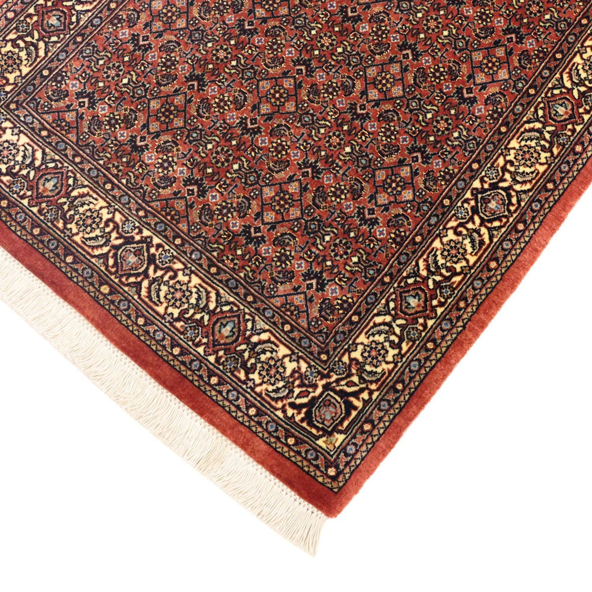 Alfombra persa - Bidjar - 142 x 72 cm - beige oscuro