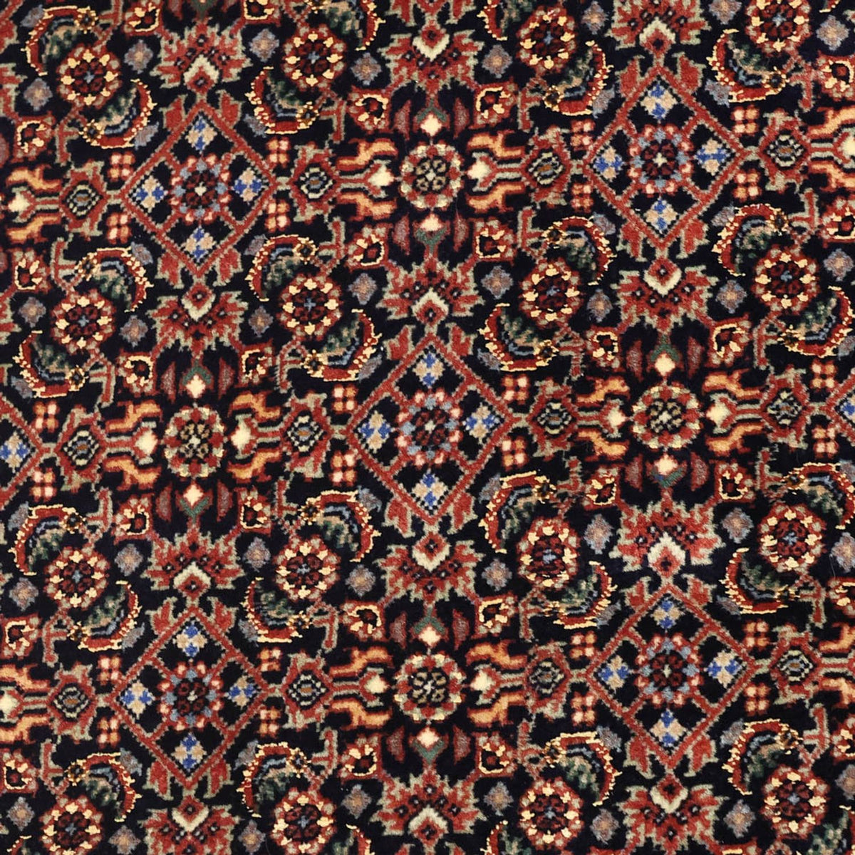Alfombra persa - Bidjar - 146 x 90 cm - beige oscuro