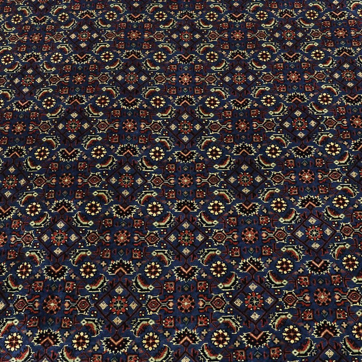 Alfombra persa - Bidjar - Real - 319 x 256 cm - azul oscuro